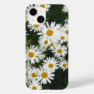 Margarida Branca de Oxeye, Moon Daisy Meadow