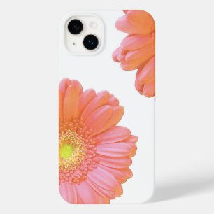 Margarida de gerbera laranja