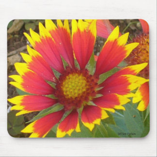 Margarida pintada Mousepad
