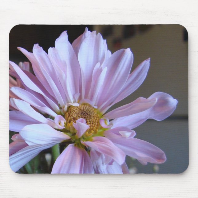 Margarida roxa Mousepad (Frente)