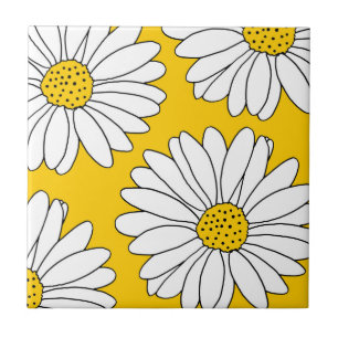 Margaridas amarelas e brancas 2