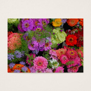Margaridas coloridas vibrantes