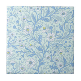 Margaridas em branco e azul sobre vidro marinho