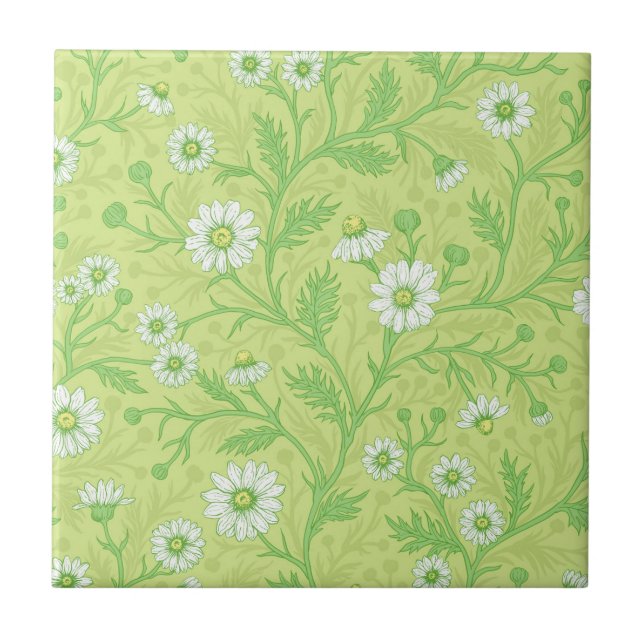 Margaridas em branco e verde sobre verde melancia (Frente)