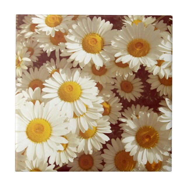 Margaridas vintage (Frente)