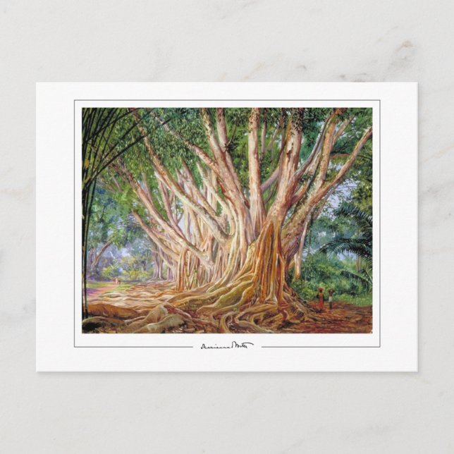 Marianne North #5 - Cartão postal de arte fina (Frente)