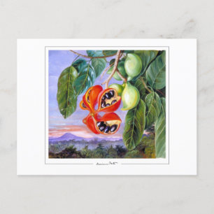 Marianne North #9 - Cartão Postal de Arte Belas