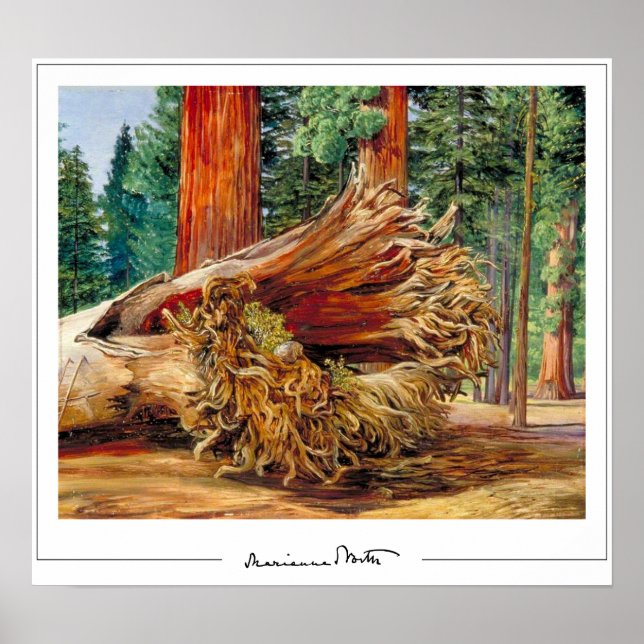 Marianne North Zedign Art Poster nº 7 (Frente)