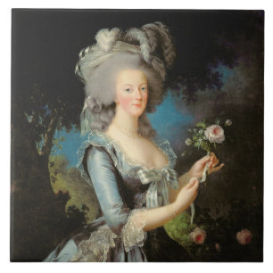 Marie Antoinette com um rosa, 1783