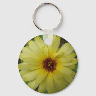Marigold Chaveiro