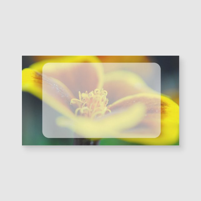 Marigold Close Up (Frente)