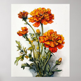 Marigold Flowers Art Impressão