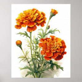 Marigold Flowers Art Impressão