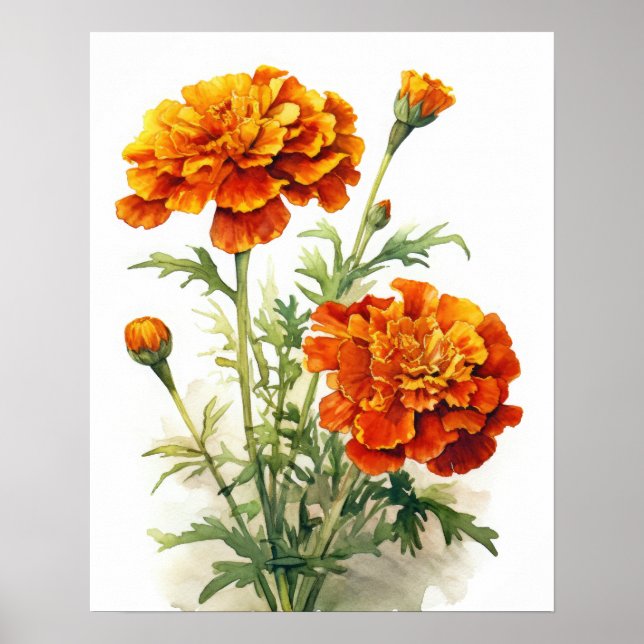 Marigold Flowers Art Impressão (Frente)