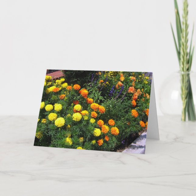 Marigold Garden - Cartão Saudável (Frente)