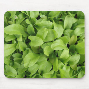 Marigold Seedlings Mousepad