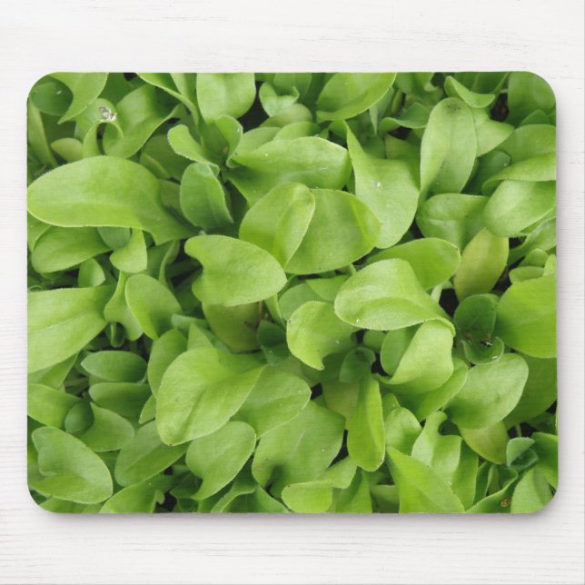 Marigold Seedlings Mousepad (Frente)