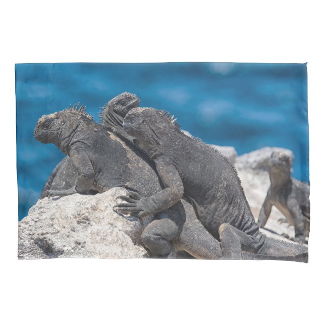 Marine Iguana (Frente)