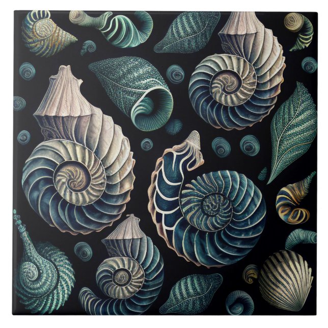 Marine Treasures (Frente)
