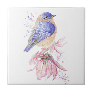 Marinha-d-água, Pia-Rosa, flor-rosa, Arte das aves
