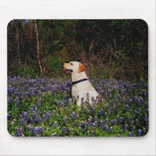 Marinheiro no mousepad dos bluebonnets