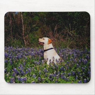 Marinheiro no mousepad dos bluebonnets