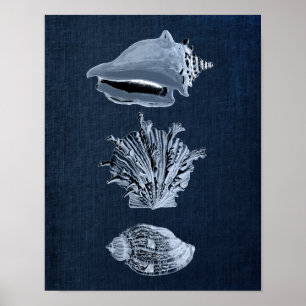 Marinho Beach Decor Seashell Impressão nº 10