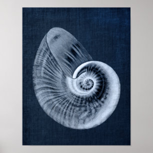 Marinho Blue Beach Decor Seashell Art Impressão n