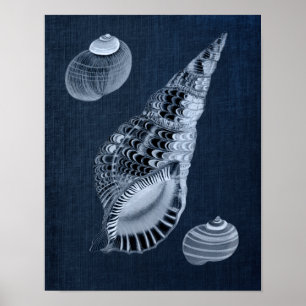 Marinho Blue Beach Wall Decor Seashell Impressão