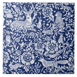 Marinho Cobalto Azul Madeira Raposa Raposa Coelho 