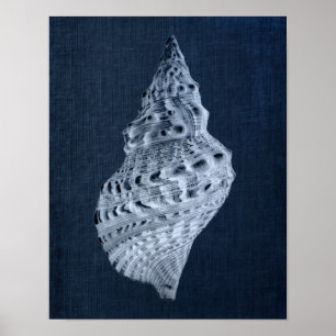 Marinho Seashells Impressão no. 1 Praia Decor Wal