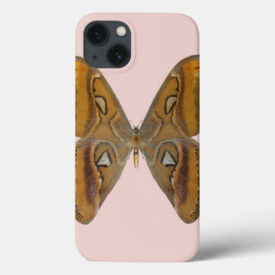 Mariposa Atlas