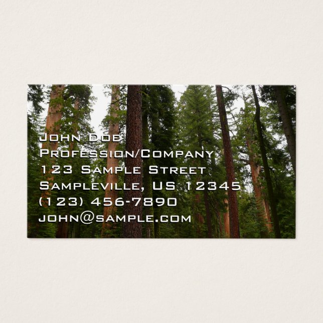 Mariposa Grove no Parque Nacional de Yosemite (Frente)