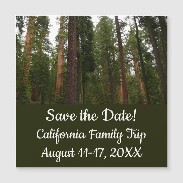 Mariposa Grove no Parque Nacional de Yosemite (Frente)