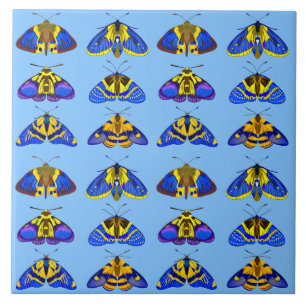 Mariposas Noturnas em Azul, Amarelo Dourado e Marr