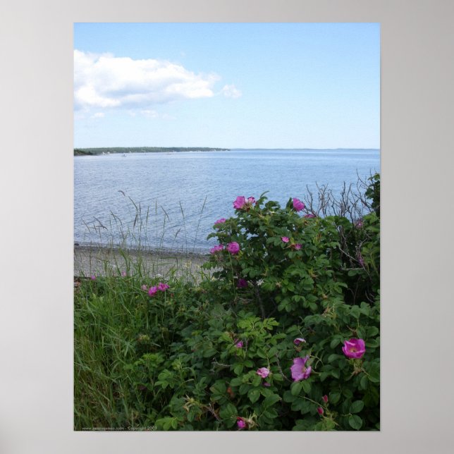 Marlboro Beach, Maine poster (Frente)