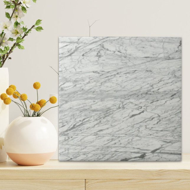 mármore na moda moderno de cinzas quicas (minimalist stylish modern chic grey marble ceramic tile)