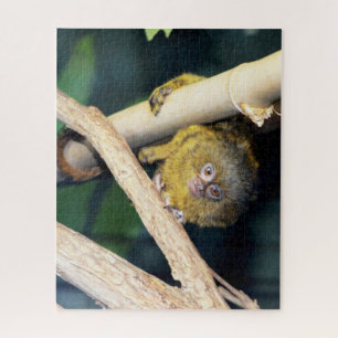 Marmoset Monkey Oi Lá, quebra-cabeça de quebra-cab