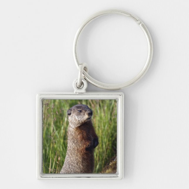 Marmot Chaveiro (Frente)