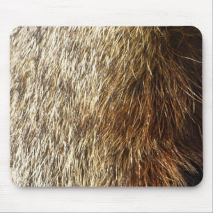 Marmot fur Mousepad