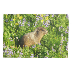 Marmot no Monte Rainier Wildflower