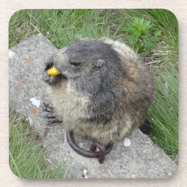 Marmot porta copos (Frente)
