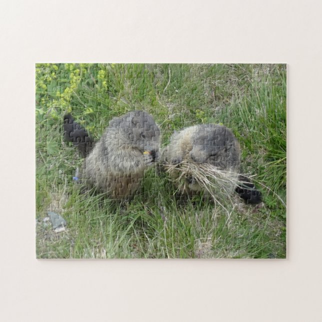 Marmot quebra-cabeça (Horizontal)