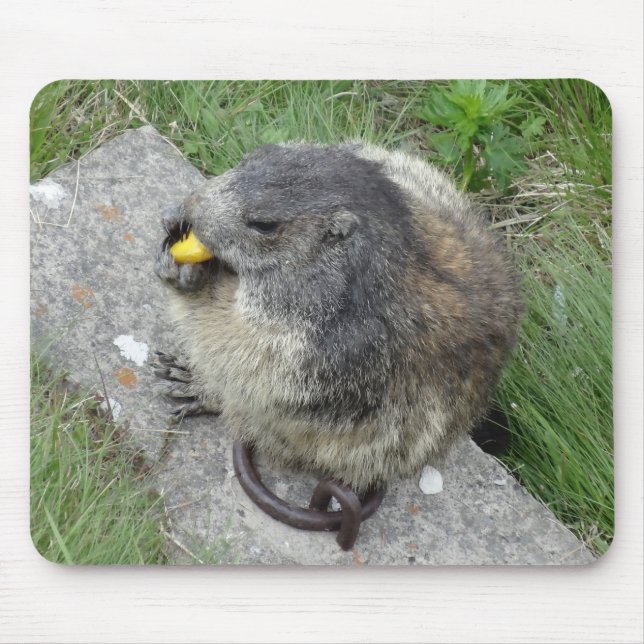Marmots mousepad (Frente)