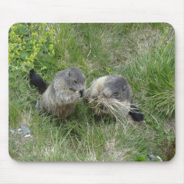 Marmots mousepad (Frente)