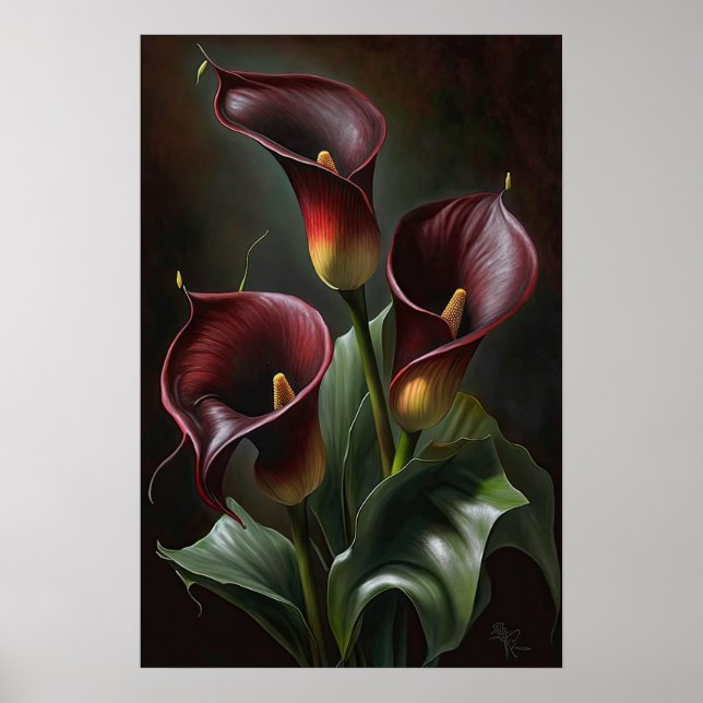 Maroon Calla Lily Lily Flower Art Poster (Frente)