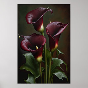 Maroon Calla Lily Lily Flower Art Poster
