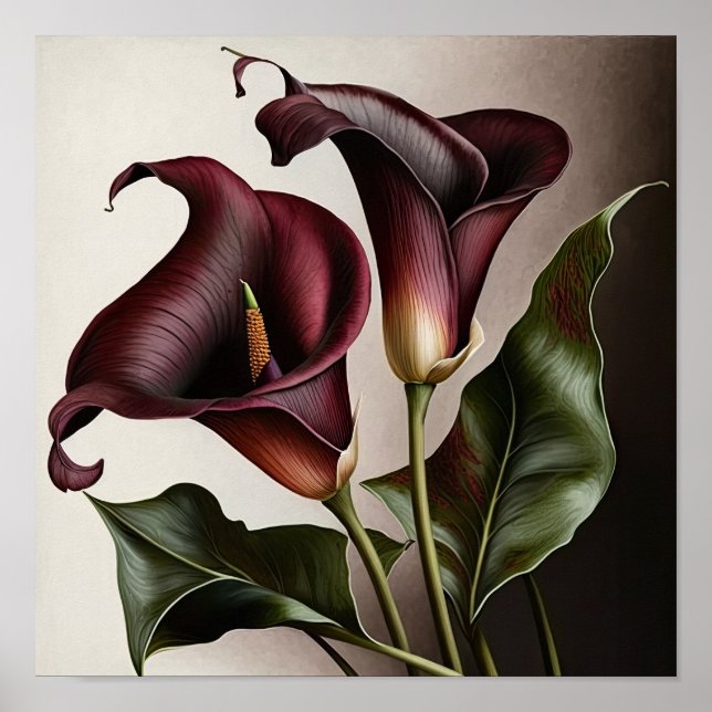 Maroon Calla Lily Lily Flower Art Poster (Frente)