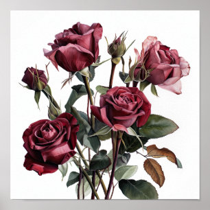 Maroon Rosa Flower Art Poster