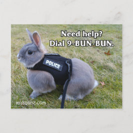 Marque 9 Bun Bun Cartão Postal